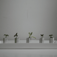 Capture d’écran 2018-03-30 à 12.12.20.png Tiny self-watering planter